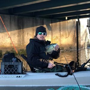 Meet your Posher, Thomas